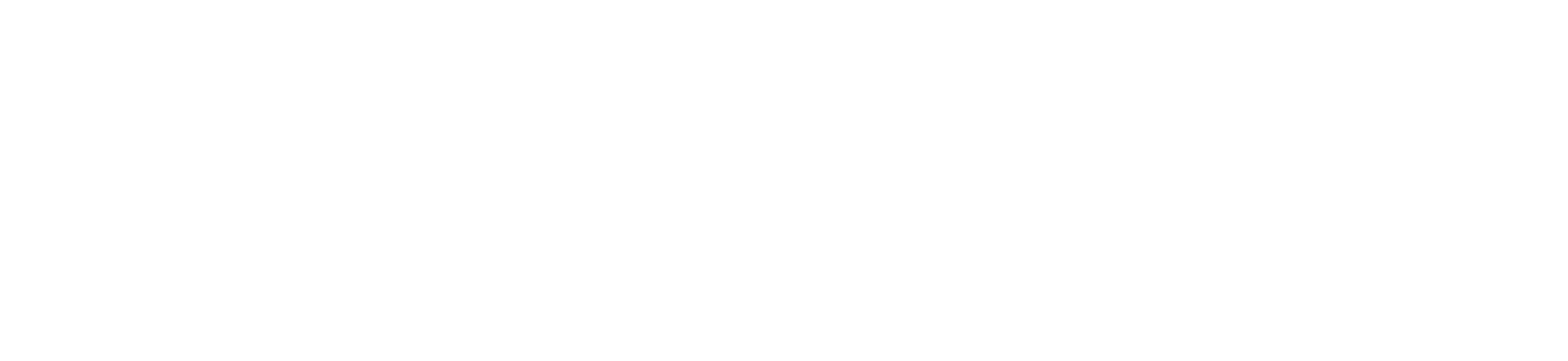 Turtix Digital